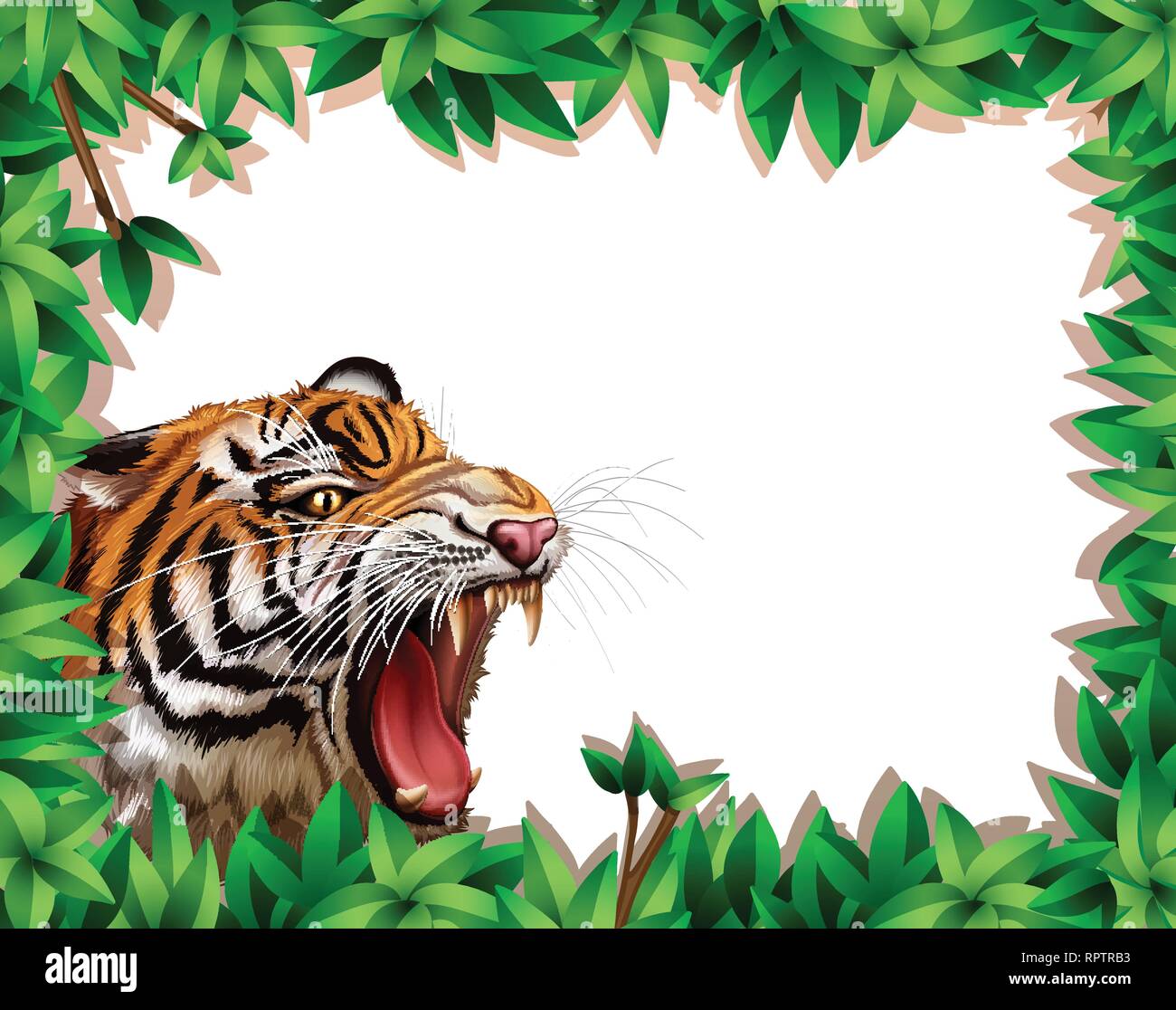 Tiger in leaf frame illustration Stock Vector Image & Art Alamy