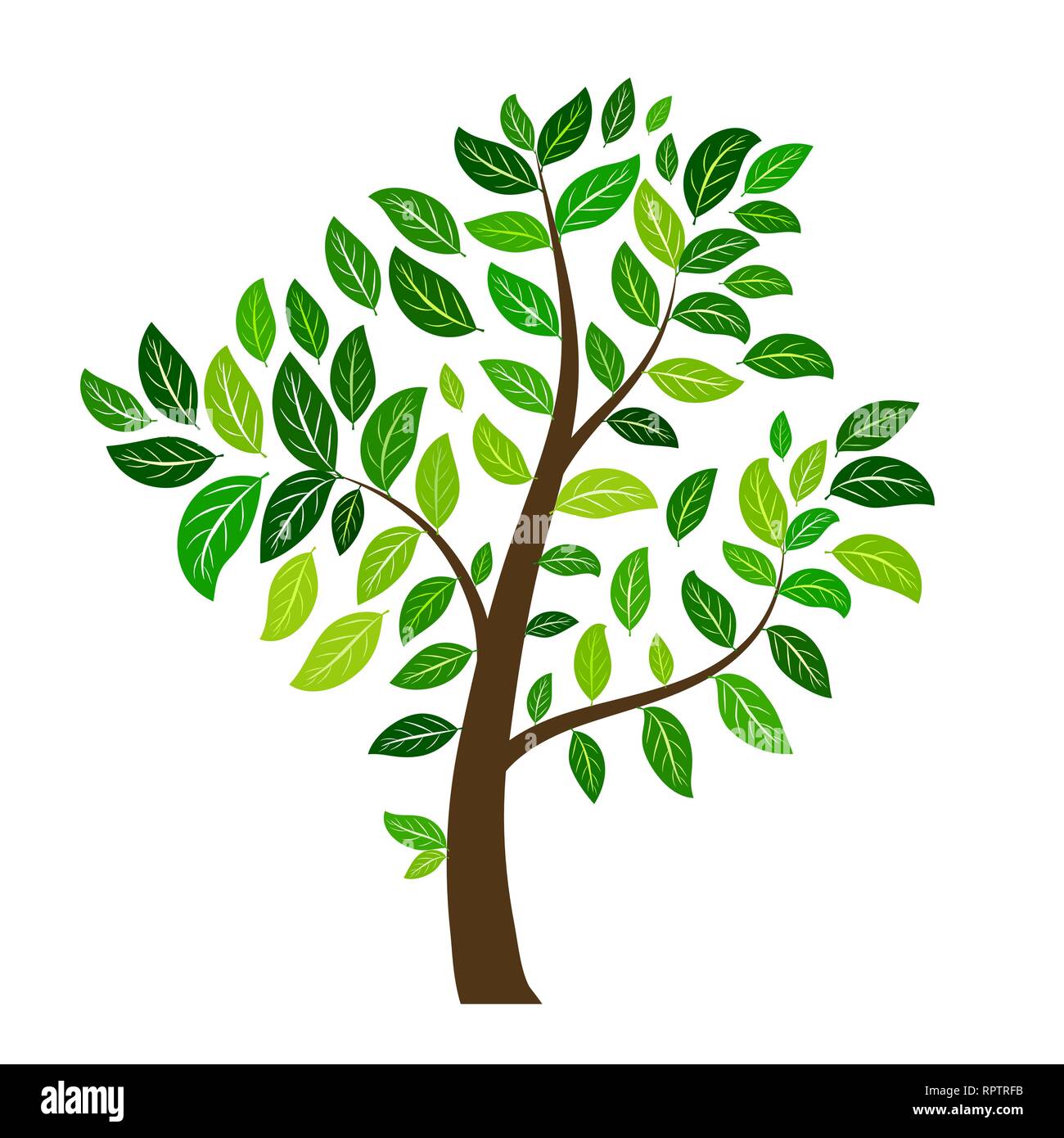 Tree with green leaves isolated on white background. Vector ...