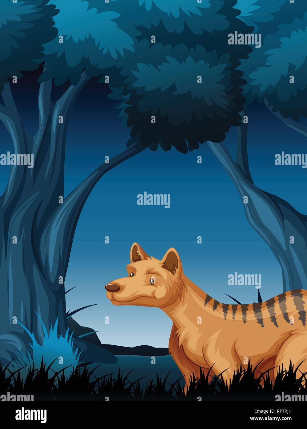 A hyena in dark forest illustration Stock Vector