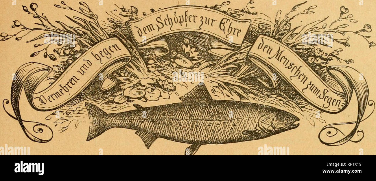 Ieben High Resolution Stock Photography And Images Alamy