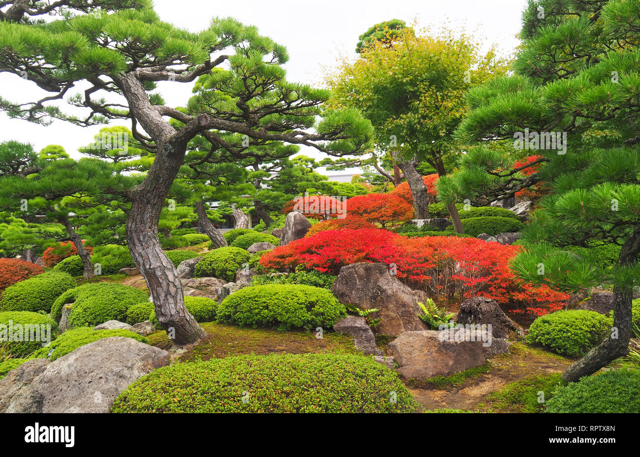 Yuushien Japanese Garden near Sakaiminato, Japan Stock Photo