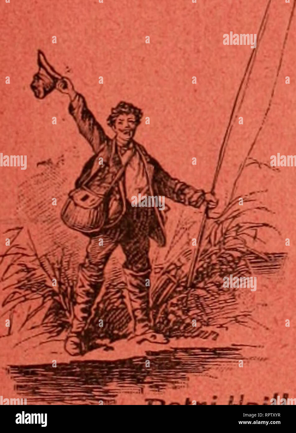 3 Eier Stock Photos 3 Eier Stock Images Page 2 Alamy