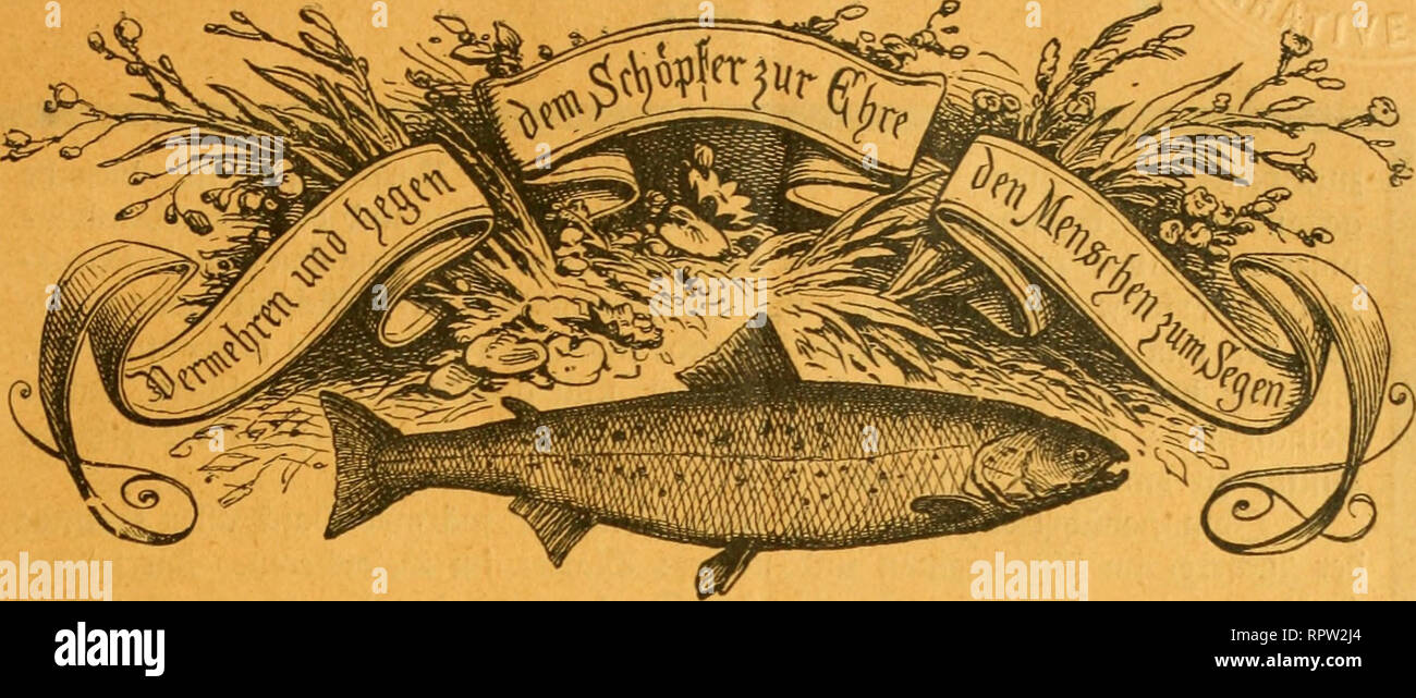 Page 3 Jie L High Resolution Stock Photography And Images Alamy