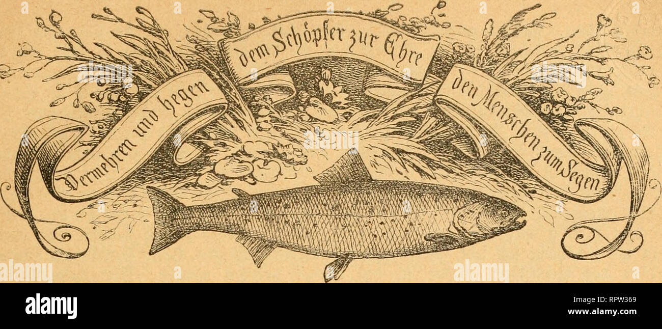 Page 3 Bfr High Resolution Stock Photography And Images Alamy