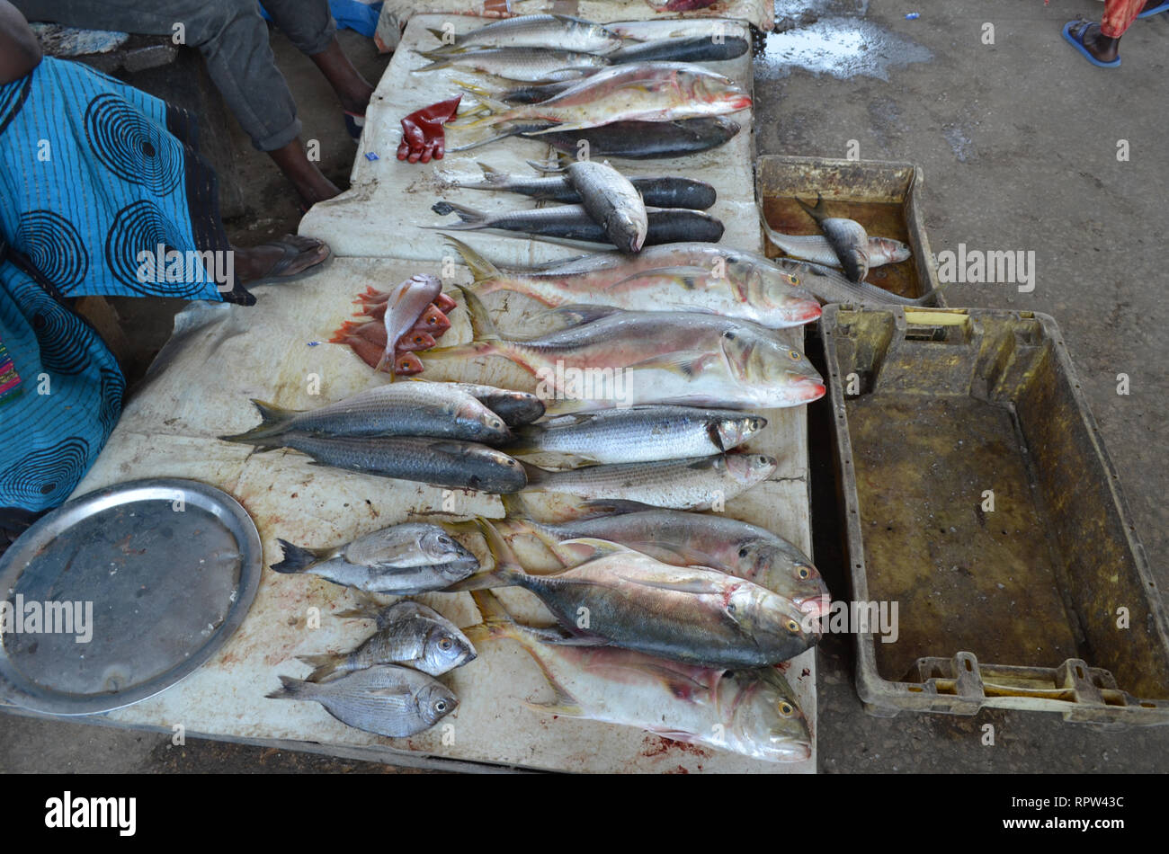Fish for sale in the stalls of Mbour fish market, Senegal Stock Photo