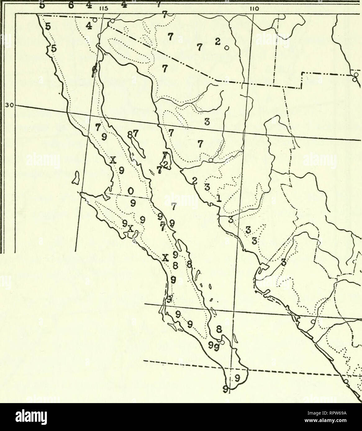 . Allan Hancock Pacific expeditions. [Reports]. Scientific expeditions. 156 ALLAN HANCOCK PACIFIC EXPEDITIONS MAP 2 VOL. 13. CYLINDROPUNTIA IN CALIFORNIA GULF AREA 1. 0. mortolensis B. &amp; R. 2. 3. leptocaulis DC. Thurberi Engelm. 4. echinocarpa Engelm. 5. 6. 7. 8. 9. serpentina Engelm. Parryi Engelm. Bigelovii Engelm. ciribe Engelm. cholla Weber 0. calmalliana Coulter X. clavellina Engelm.. Please note that these images are extracted from scanned page images that may have been digitally enhanced for readability - coloration and appearance of these illustrations may not perfectly resemble th Stock Photo
