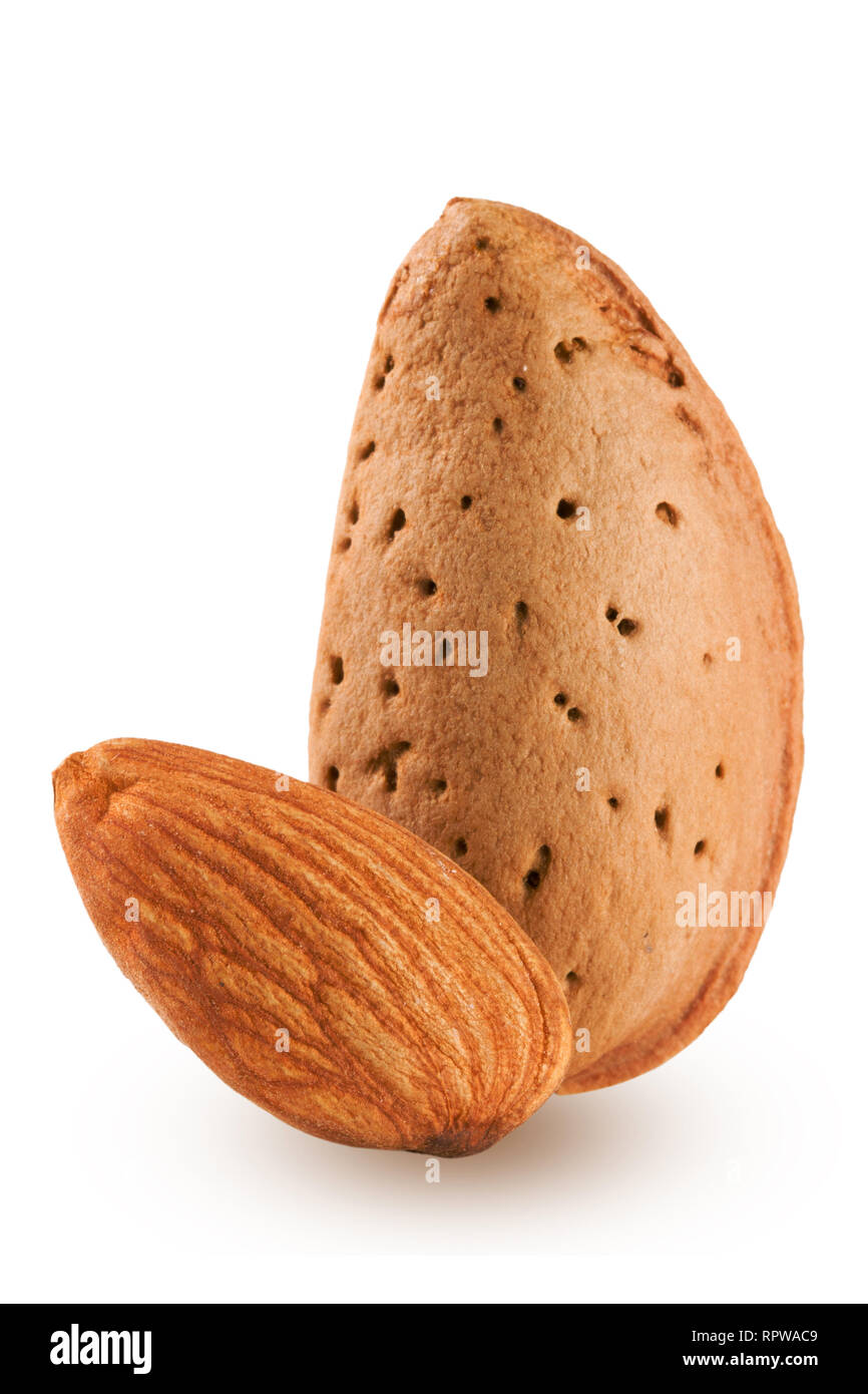 two almond nut isolated on white background close-up macro Stock Photo ...
