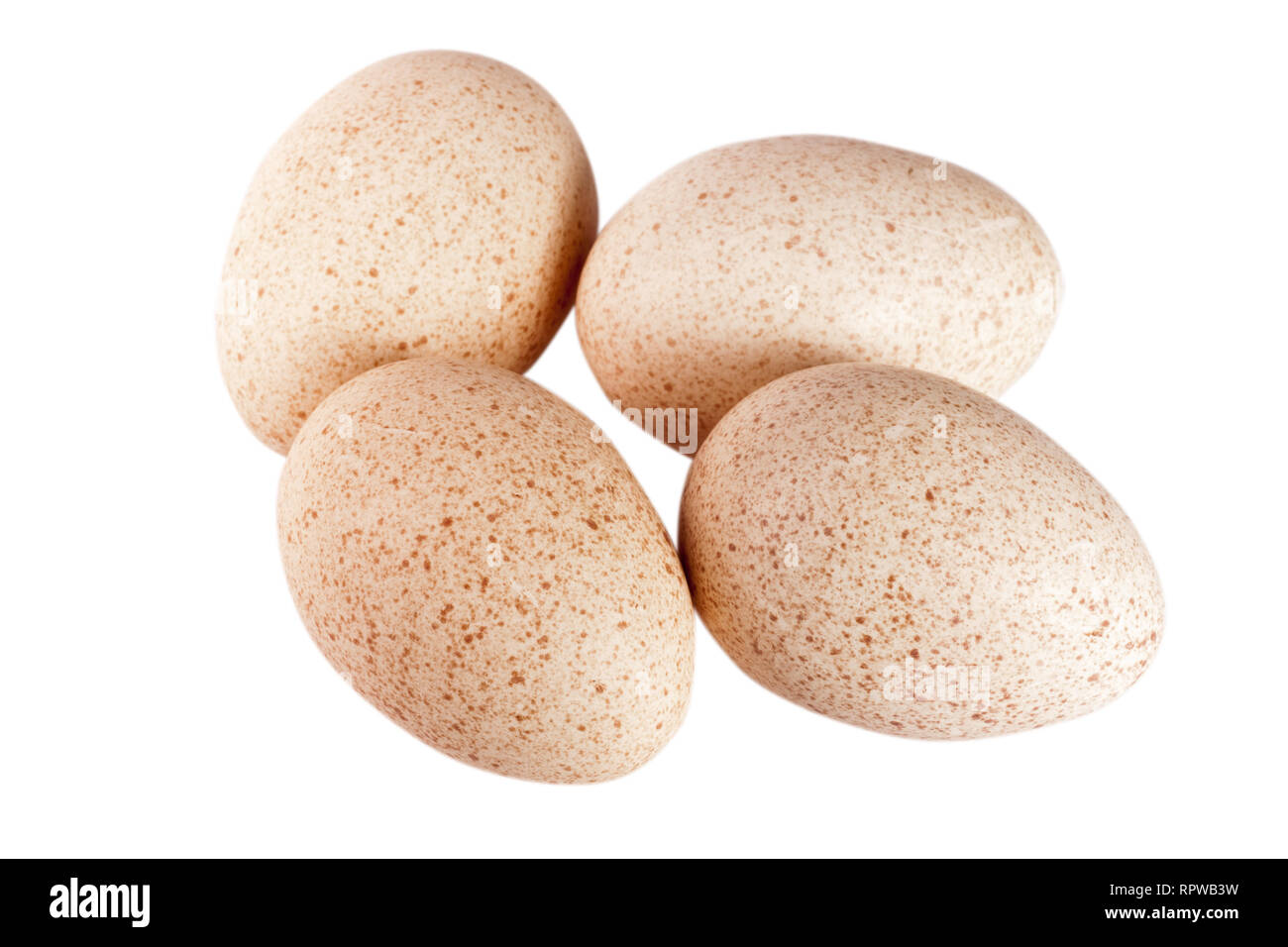 four turkey eggs isolated on white background close-up Stock Photo