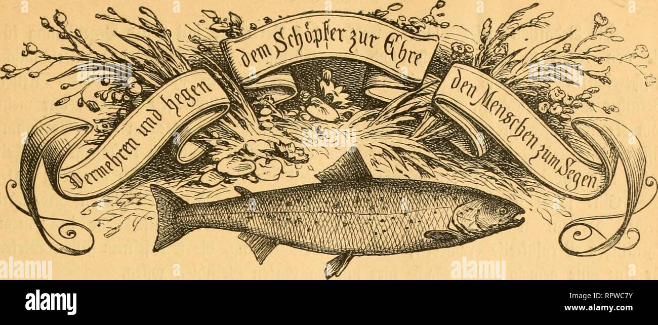 . Allgemeine Fischerei-Zeitung. ?:Ö. ai)mfd)e Itfdjem^Jntung. ^r g an beS hat)cti^H)cn glfd^etei^SJeireine^. 11. üudjen, 25, ^oi^emBer 1879, IV. gaprg. Die „^atjmff^c §tif(^c«t-3cttunfl&quot; crfdieiiit jtlicii illonat cinnml in 'ün ßeqcl in ötr iWilte öes itloimts. Das Abonnement betrügt für ben Soliranng 2 ^afß nnb roerben ßefteüungen bei bcn kgl. J)o(lan|lnlttn entgegen genommen. — ^nfcvatc roerben bie burd)lnufenbe }3etitjeile mit 20 '^f. beredjnet.. Please note that these images are extracted from scanned page images that may have been digitally enhanced for readability - coloration and a Stock Photo