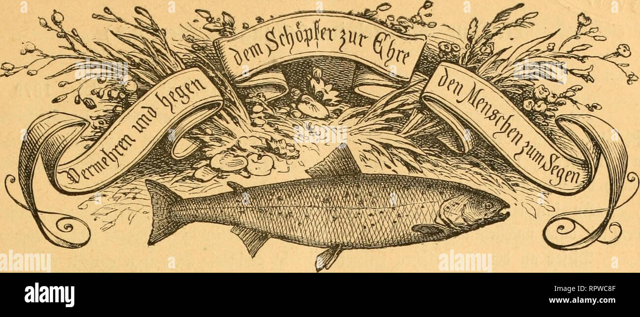 Allgemeine Fischerei Zeitung I 1 Atjerifdje Lifdjerei Jettutig R G An Be I Gt A Cx I Cn F5iftf Etei Aseteine8 Ilr 10 Undjeu 22 Ditober 1879 Iv Gan 0ic Ja Gt Jcvif E Ttf Cr I Cuu To Quot Crfrijtiiit Jcticii Jloimt Einmal In Ifr Allgemeine Fischerei Zeitung I 1 Atjerifdje Lifdjerei Jettutig R G An Be I Gt A Cx I Cn F5iftf Etei Aseteine8 Ilr 10 Undjeu 22 Ditober 1879 Iv Gan 0ic Ja Gt Jcvif E Ttf Cr I Cuu To Quot Crfrijtiiit Jcticii Jloimt Einmal In Ifr