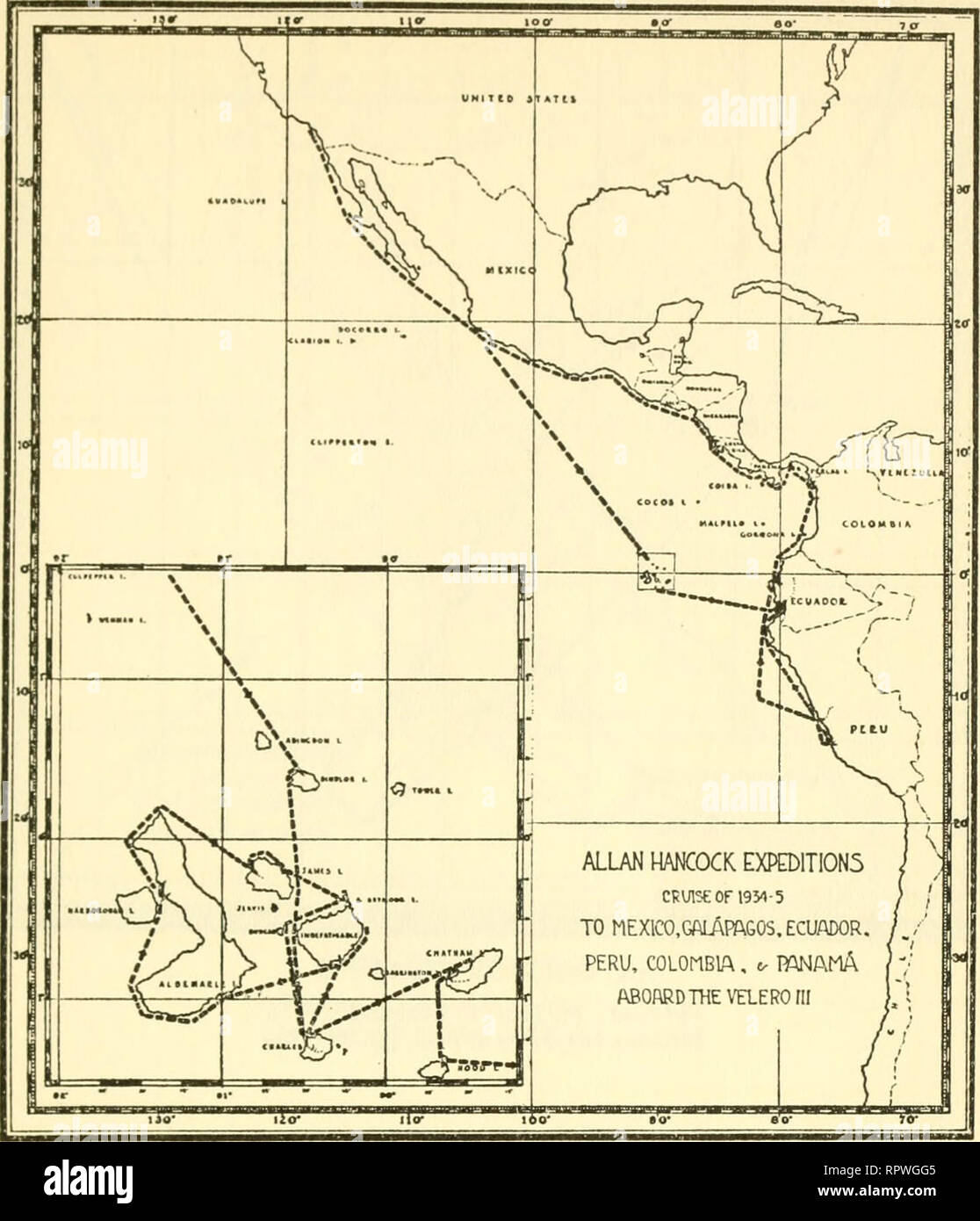 . Allan Hancock Pacific expeditions. Scientific expeditions. No. 3 FRASER: SCIENTIFIC WORK, VELERO III, EASTERN PACIFIC 265. EXPEDITION CHART 4 November 23, 1934, to April 12, 1935 Stations 306-35 to 487-35, pp. 289-297. Please note that these images are extracted from scanned page images that may have been digitally enhanced for readability - coloration and appearance of these illustrations may not perfectly resemble the original work.. Allan Hancock Foundation. Los Angeles : Allan Hancock Foundation for Scientific Research, University of Southern Calif. Press Stock Photo