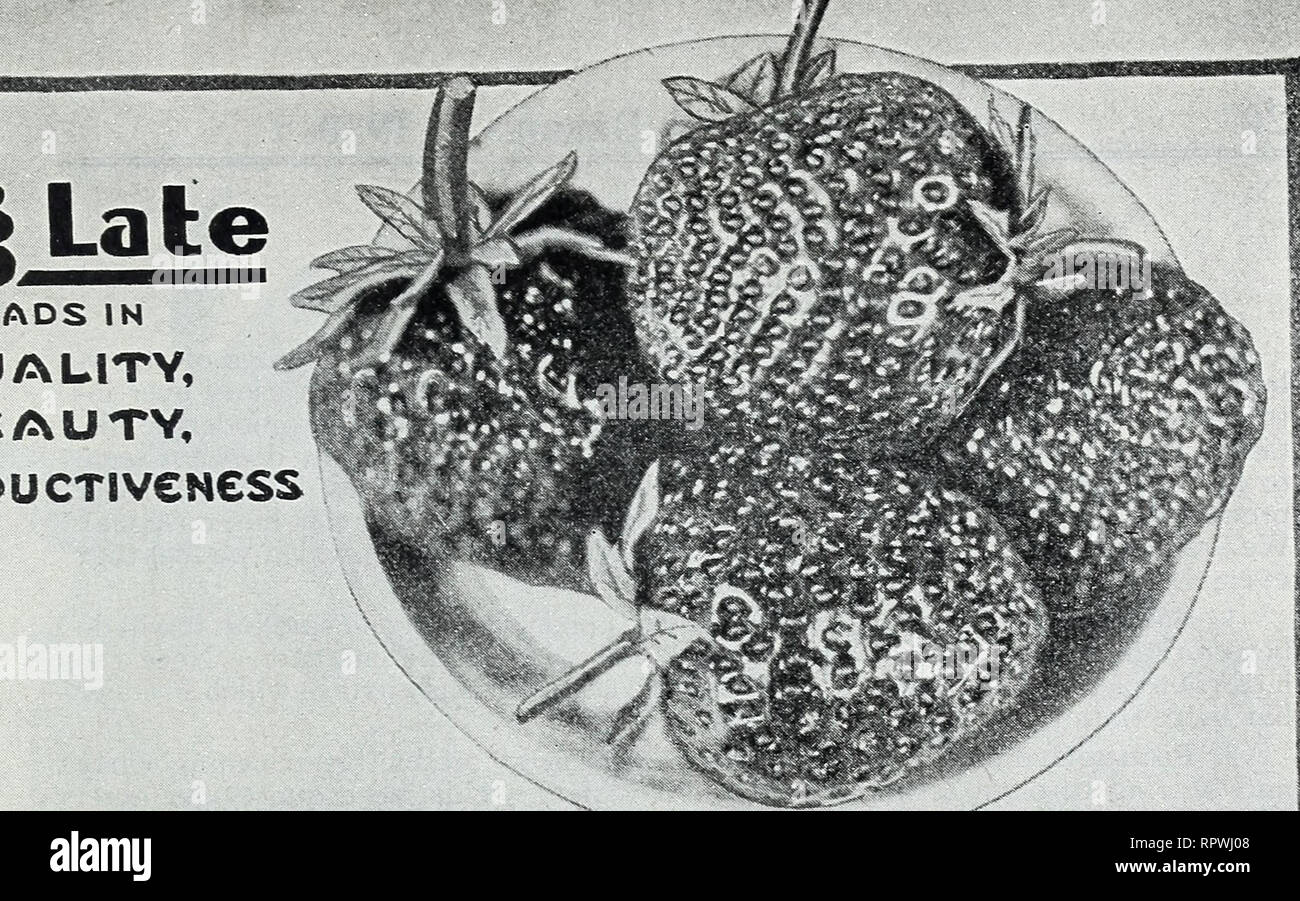 . Allen's book of berries 1930. Nurseries (Horticulture) Maryland