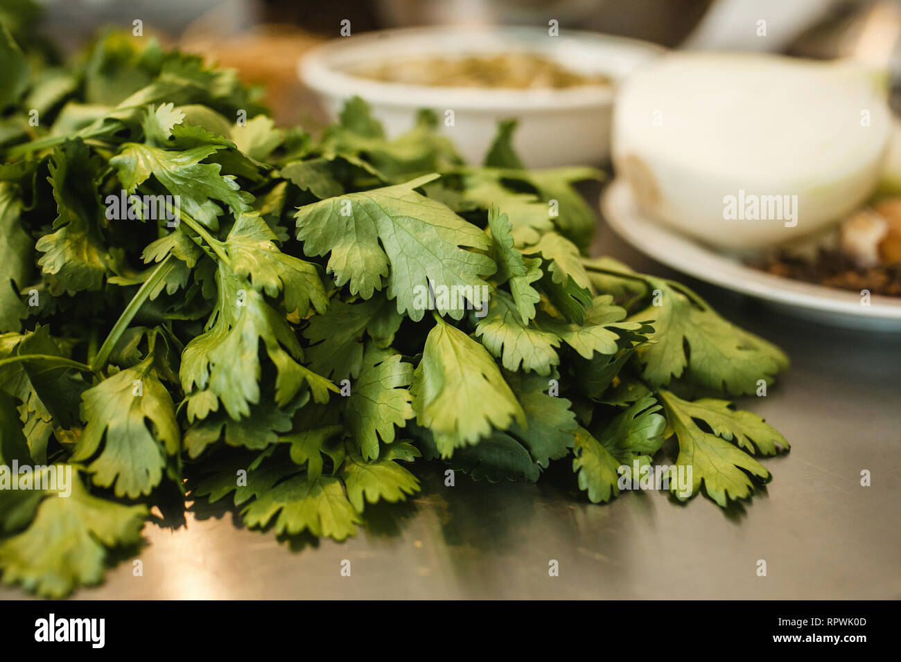 Ingredients for Mexican food coriander in mexico Stock Photo