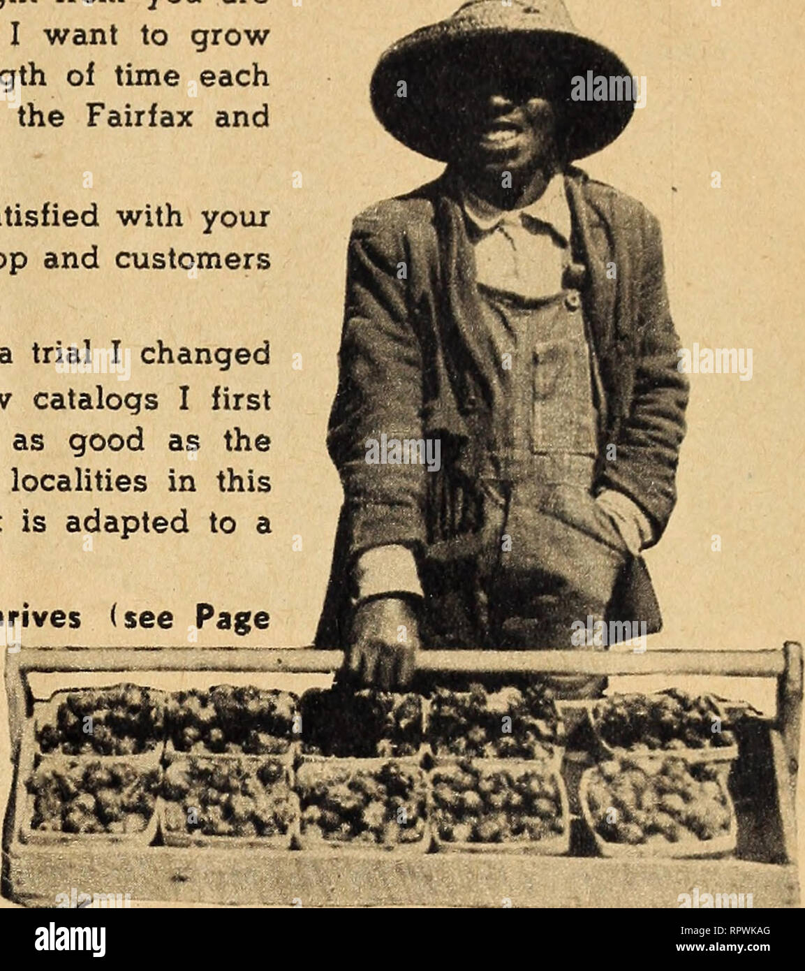 Allen S 1949 Book Of Berries Nurseries Horticulture Maryland Salisbury Catalogs Nursery Stock Maryland Salisbury Catalogs Strawberries Maryland Salisbury Catalogs Carroll Co Ind Apr 19 1948 Quot Enclosed Find Order For Premier And