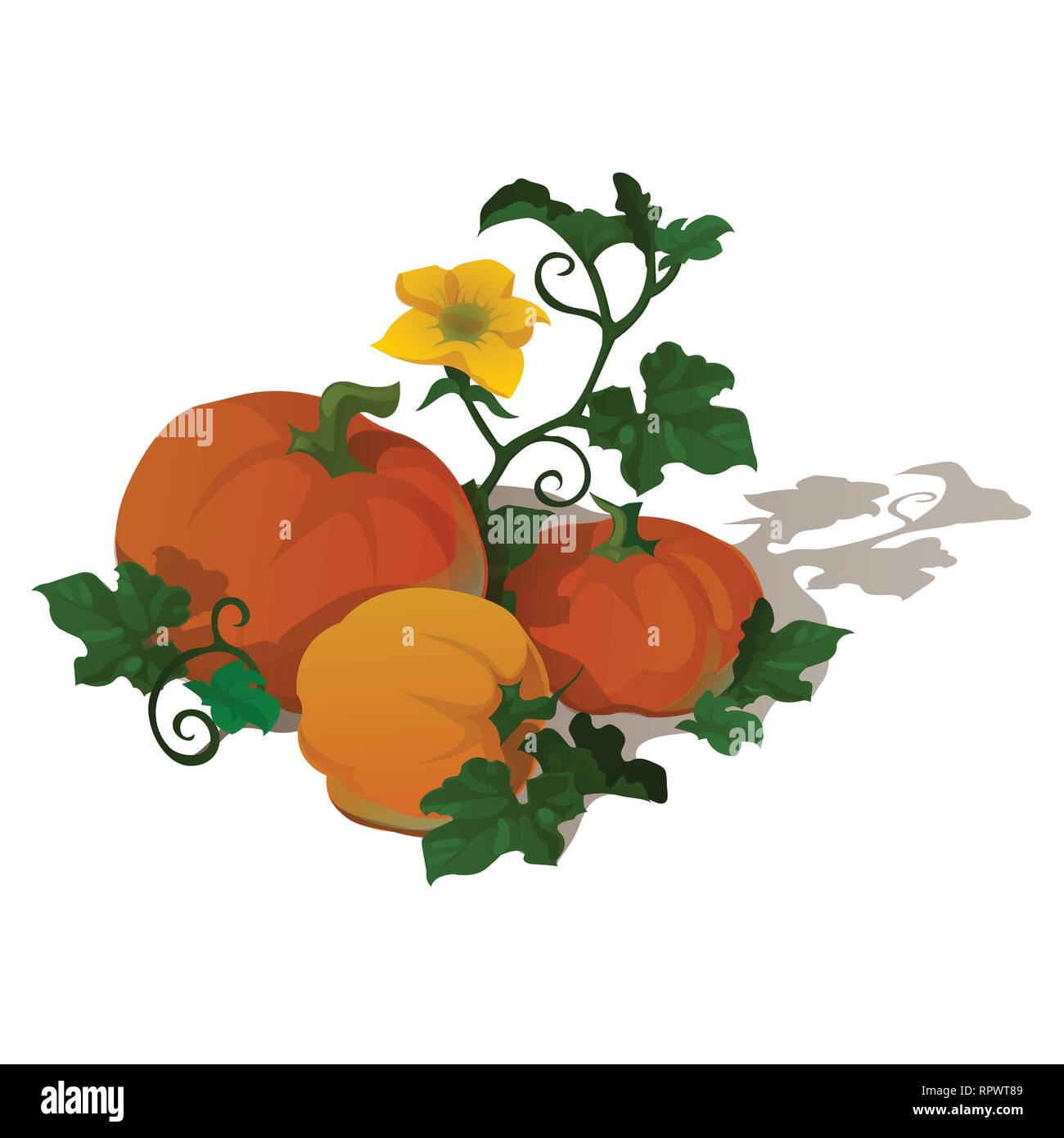 Printables on thanksgiving