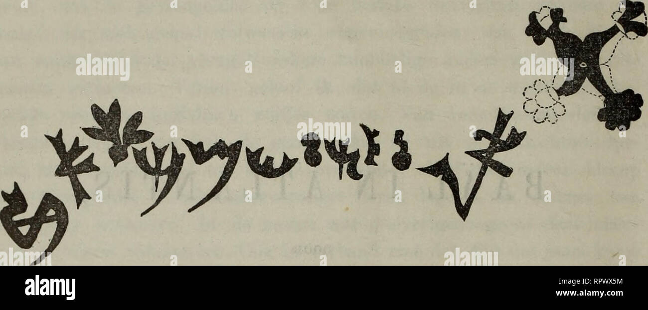 Juist Stock Photos Juist Stock Images Page 10 Alamy