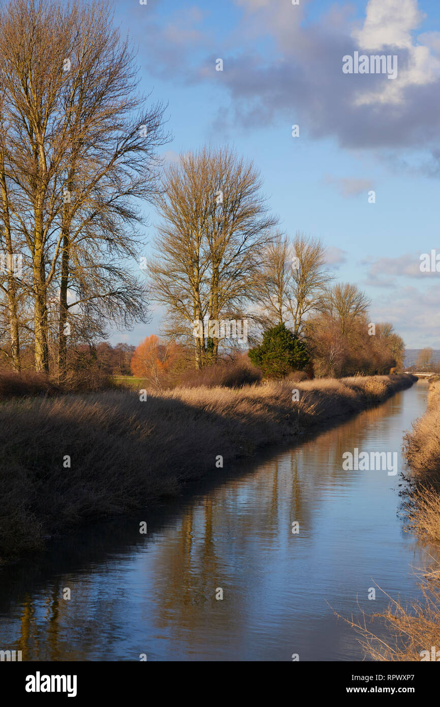 The Somerset levels. Stock Photo