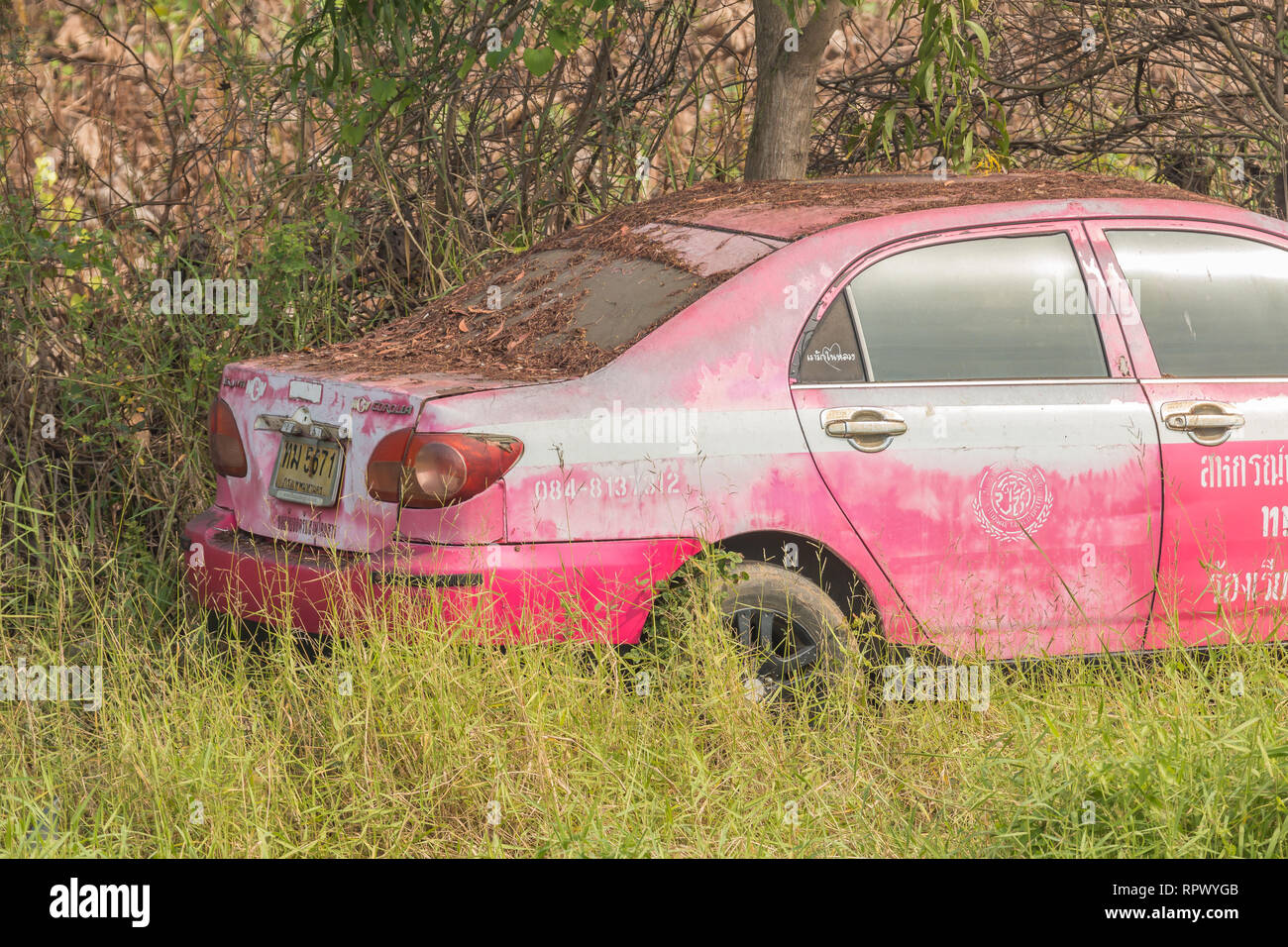 An old abandoned car in the woods Stock Photo Alamy