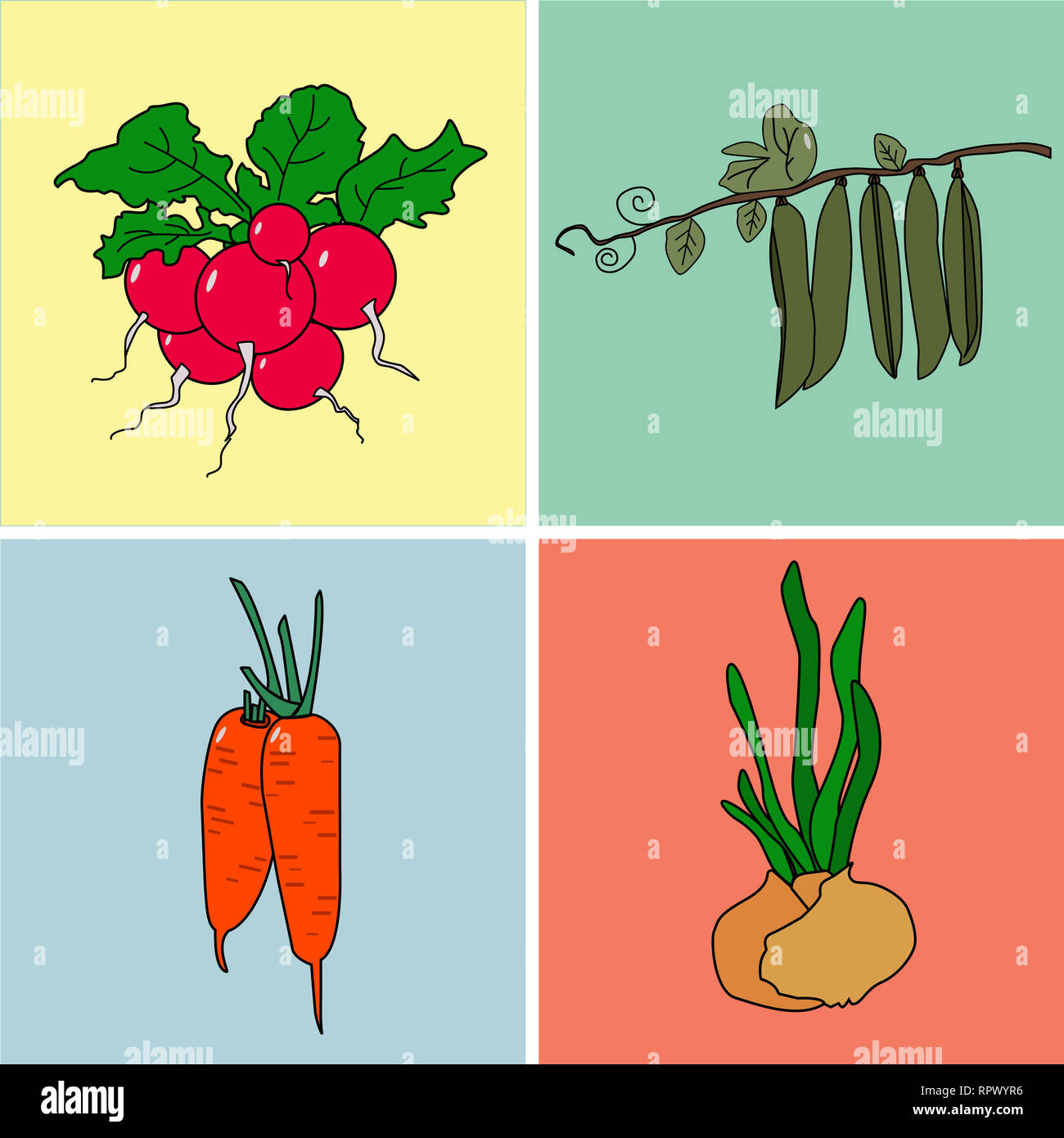 Set Of Vegetables Radishes Onions Carrots And Green Peas Stock Photo Alamy