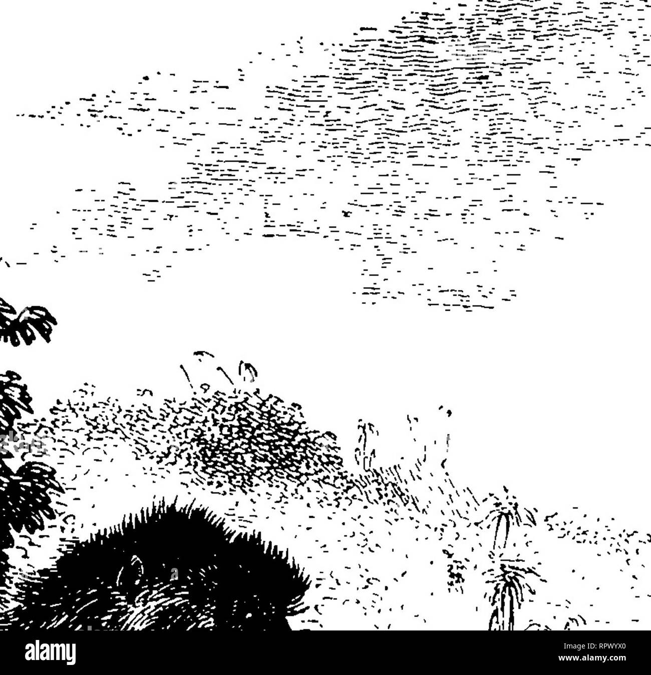 Ordre des couleurs hires stock photography and images Alamy