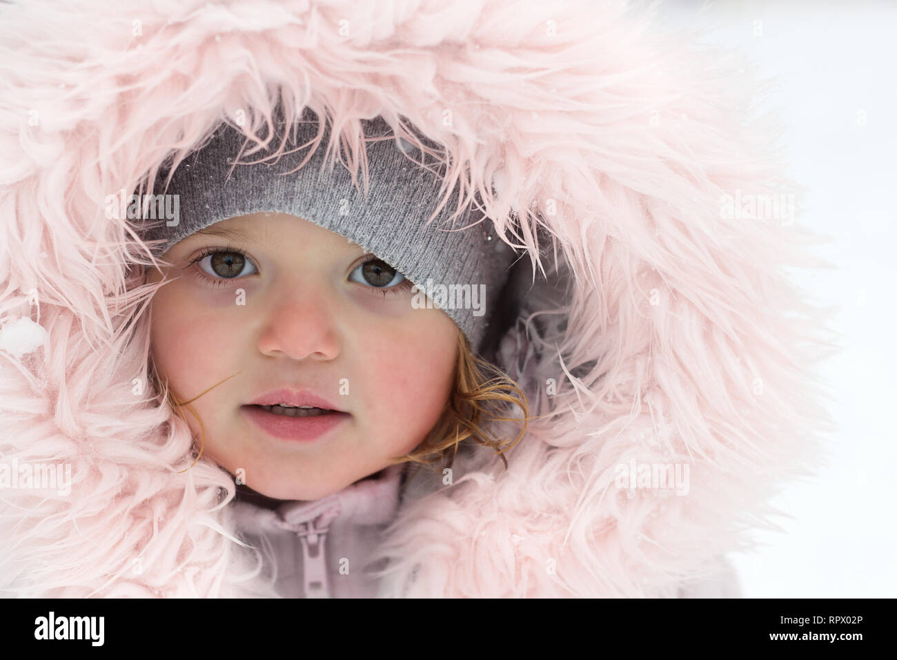 Winter portrait of a beautiful little girl on a snowy day Stock Photo ...