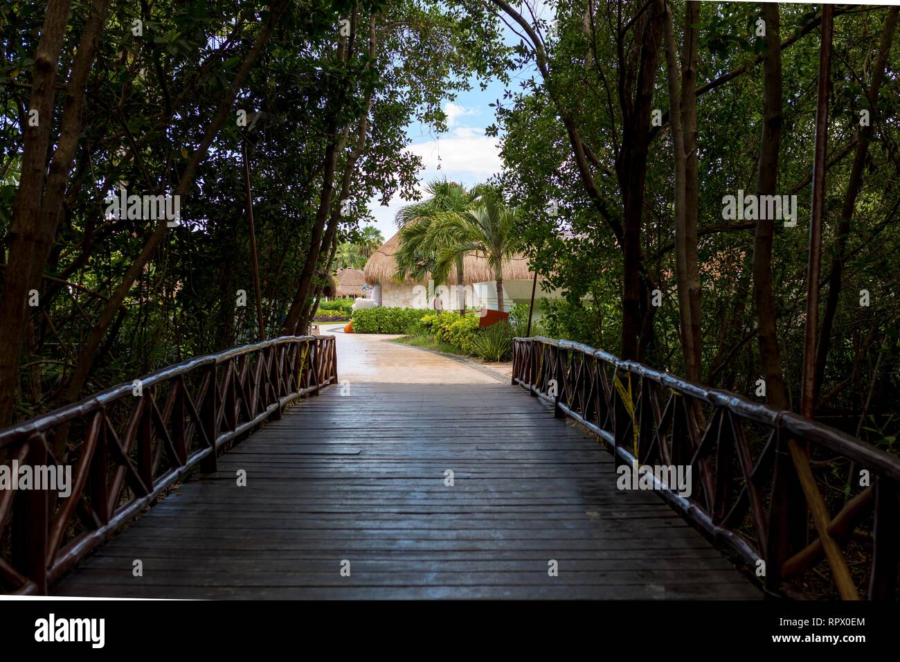 Rustic wooden bridge walk way shaded and silhouetted by trees and jungle down luxury Caribbean beach resort on the Riviera Maya in the Caribbean. Stock Photo