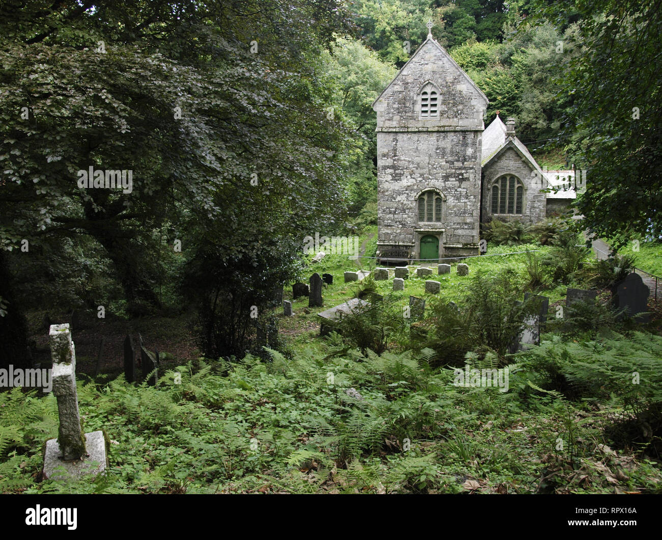 Minster Church, Boscastle, Cornwall, UK church in the woods on the slopes of the Valency Valley. Stock Photo