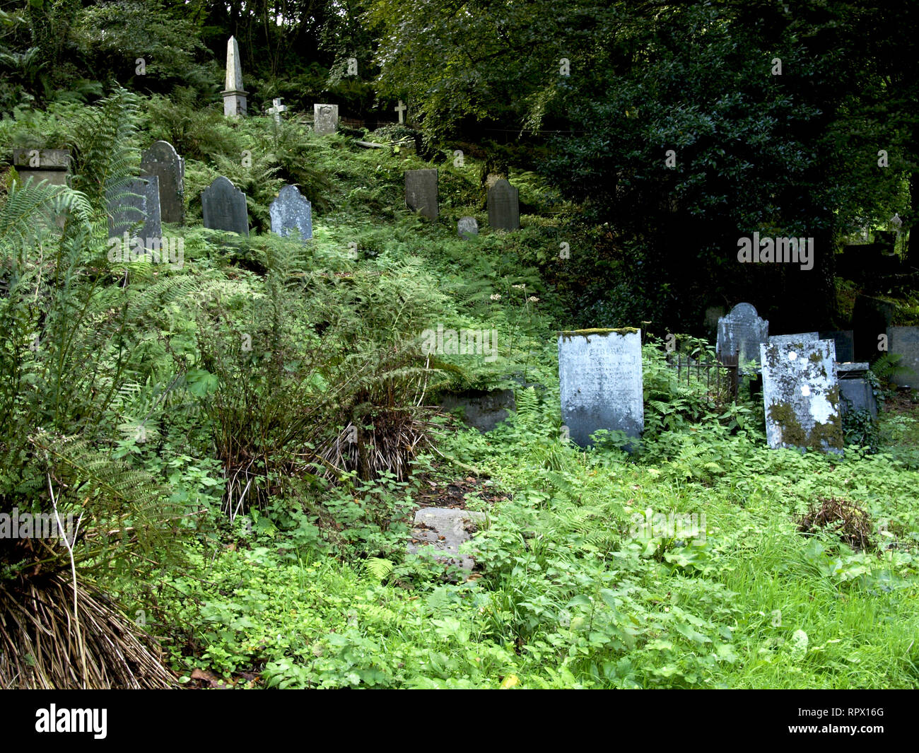 Overgrown churchyard hires stock photography and images Alamy