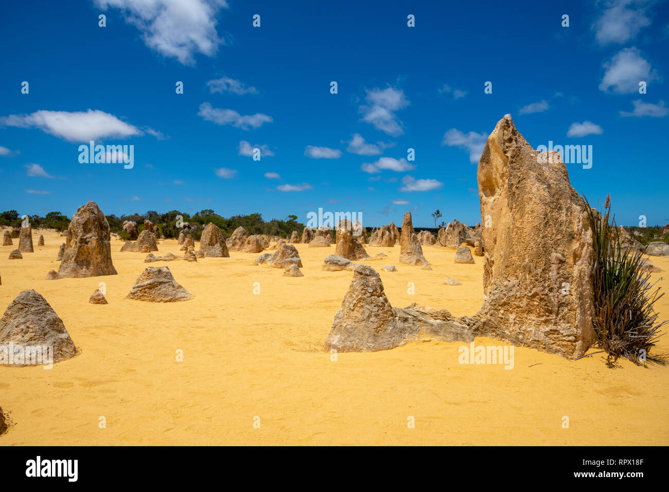 15 Standing Rocks Is In Upright standing rocks at the Pinnacles Desert in the west of Australia ...