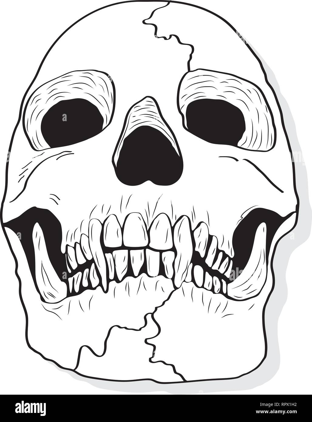 Vector skull artwork Stock Vector Image & Art - Alamy