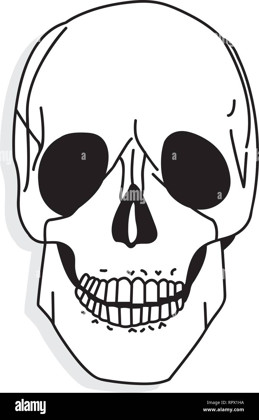 Human Skull Vector Art. Hand drawn illustration Stock Vector Image ...