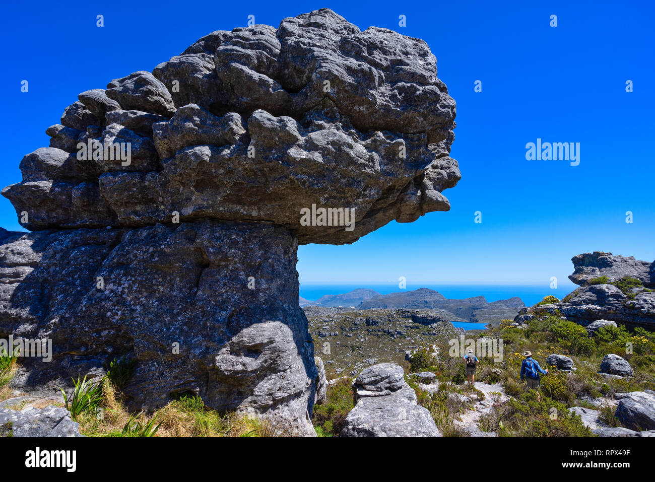 Two men hiking past rock formation, Table Mountain National Park, Cape Town, Western Cape, South Africa Stock Photo