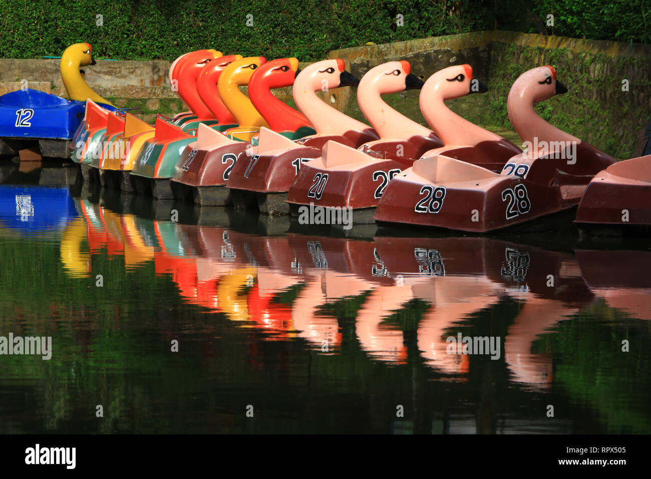 Flamingo pedalos in a row on a lake, Indonesia Stock Photo