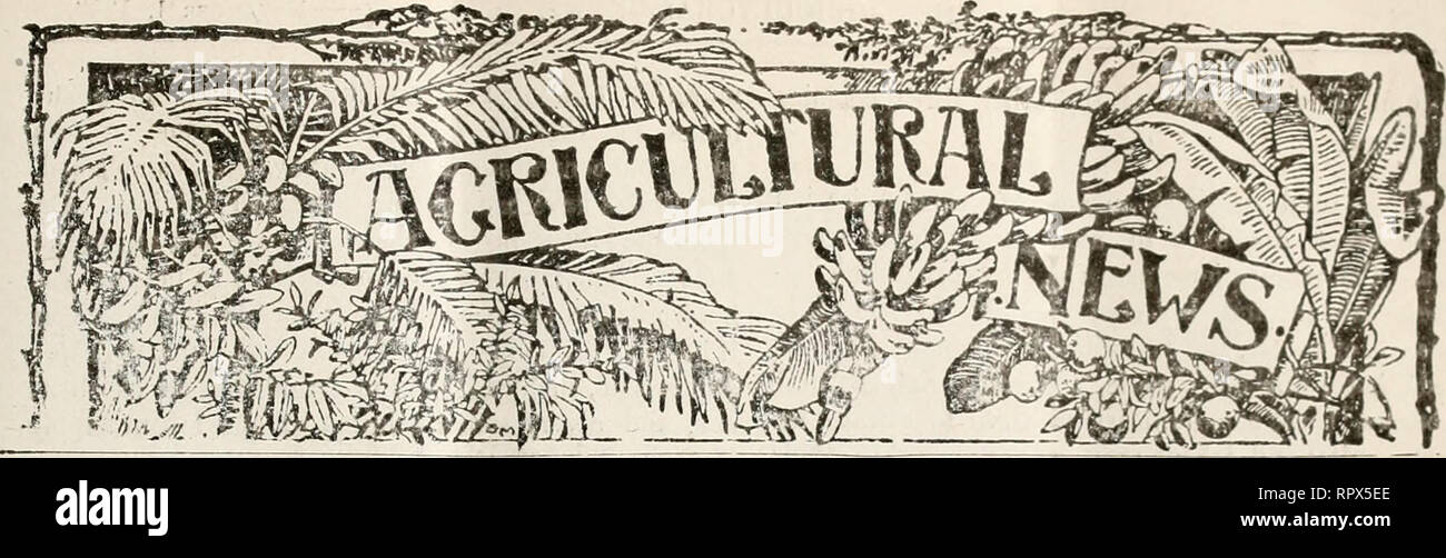Agricultural News Agriculture West Indies Plant Diseases West Indies A Fortnightly Review Of The Imperial Department Of Agriculture For The West Indies Vol Xviii No 457 Barbados November