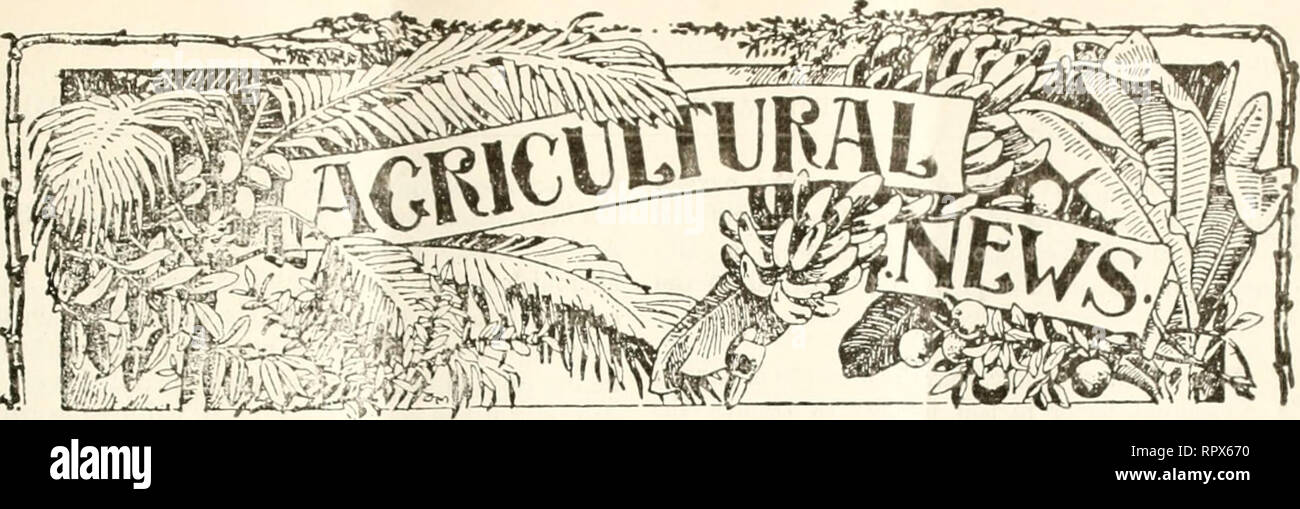 . Agricultural news. Agriculture -- West Indies; Plant diseases -- West Indies. A FORTNIGHTLY REVIEW OF THE IMPERIAL DEPARTMENT OF AGRICULTURE FOR THE WEST INDIES. Vol. XIV. No. 352. BARBADOS, OCTOBEB 23, 1915. Price Id. CONTENTS. Page. Page. African Agriculture 35] Bean Industry in Si. Lucia, Efforts to Establish ... 339 i ! mges ni the Guiana Scholarship 349 nuts in the Seychel- les, Production and Si lection of u4.'I i !o operative Credit M&quot; e mint in &lt; V lull :'.4u Cotton Notes: British &lt; lotton f August in .&quot;.4!&gt; Errata 339 Export Tax on Sugar in Antigua :;44 I ii oi N Stock Photo