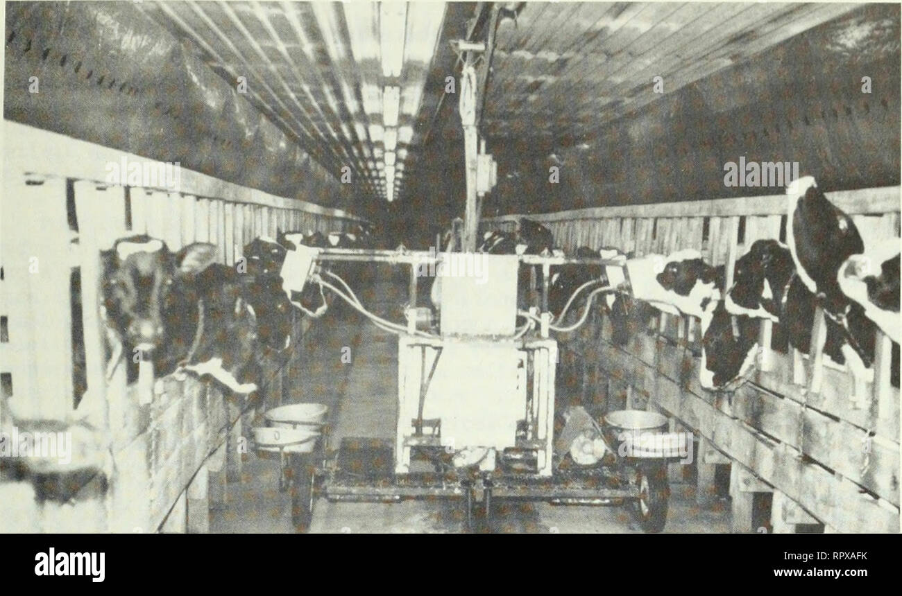 Alimentation Et Soin Des Jeunes Veaux De Remplacement Et De Boucherie Veaux Veaux Veaux 11 Figure 6 Distribution De Lait De Remplacement Par Un Nourrisseur Automatique Les Rations Augmentent Avec Alimentation Et Soin Des Jeunes Veaux De Remplacement Et De Boucherie Veaux Veaux Veaux 11 Figure 6 Distribution De Lait De Remplacement Par Un Nourrisseur Automatique Les Rations Augmentent Avec