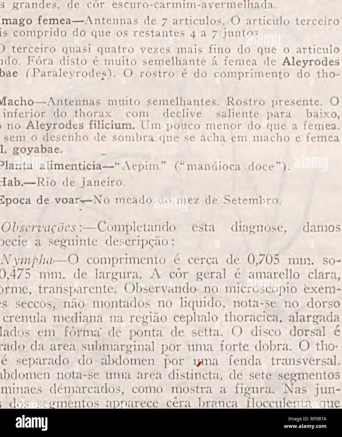 . Aleyrodideos do Brasil: catalogo descriptivo dos hemipteros-homopteros da familia dos aleyrodideos, insectos parasitas das plantas, encontrados no Brasil. — 164 — larvas e nymphas se acham em grupos serrados na pagina inferior das folhas de mandioca, formando um feltro de lã branca, encrespada. (Fig. 76).. 1 áâ- Adulto jemca—A côr geral é amarello pallida. O com- primento do corpo cerca de 1,066 mm. O comprimento • da aza 0,902 mm. Olhos pretos, constrictos. As antennas de 7 articules. Os articulos quarto e sétimo são os meno- res e subiguaes; o quinto e sexto um pouco maiores e também subig Stock Photo