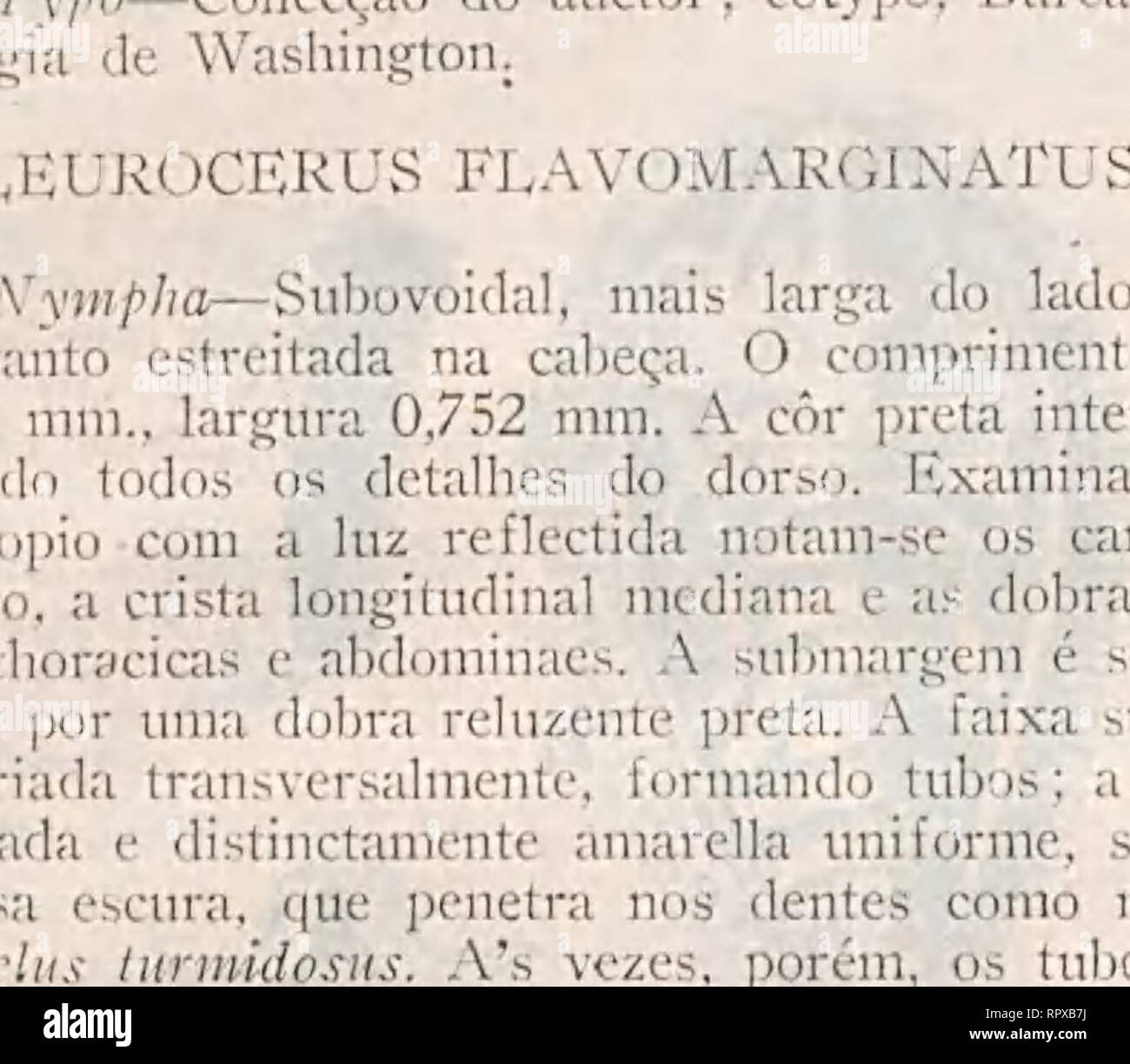 . Aleyrodideos do Brasil: catalogo descriptivo dos hemipteros-homopteros da familia dos aleyrodideos, insectos parasitas das plantas, encontrados no Brasil. — 162 —. FIG, 75—Alai i o* et u$ flavotiiazgjnaiiti í7— Nvinpha; r—mat^t-ni; h jjnnchos ç , transversalmente elliptico, A tingula obs- curecida pelo operculo; que occupa cmasi todo o orifício. Adidto com uma flexão no sector radial das azas di- anteiras e nenhum traço da nervura média. Anteunas de sete artículos, dos (jnaes d terceiro c. d mais comprido. Se- xos quasi do mesmo tamanho. Tvpo floccosut—Másk. ALEURí ITHRIXUS AEPIM—GELD1 &lt;) Stock Photo