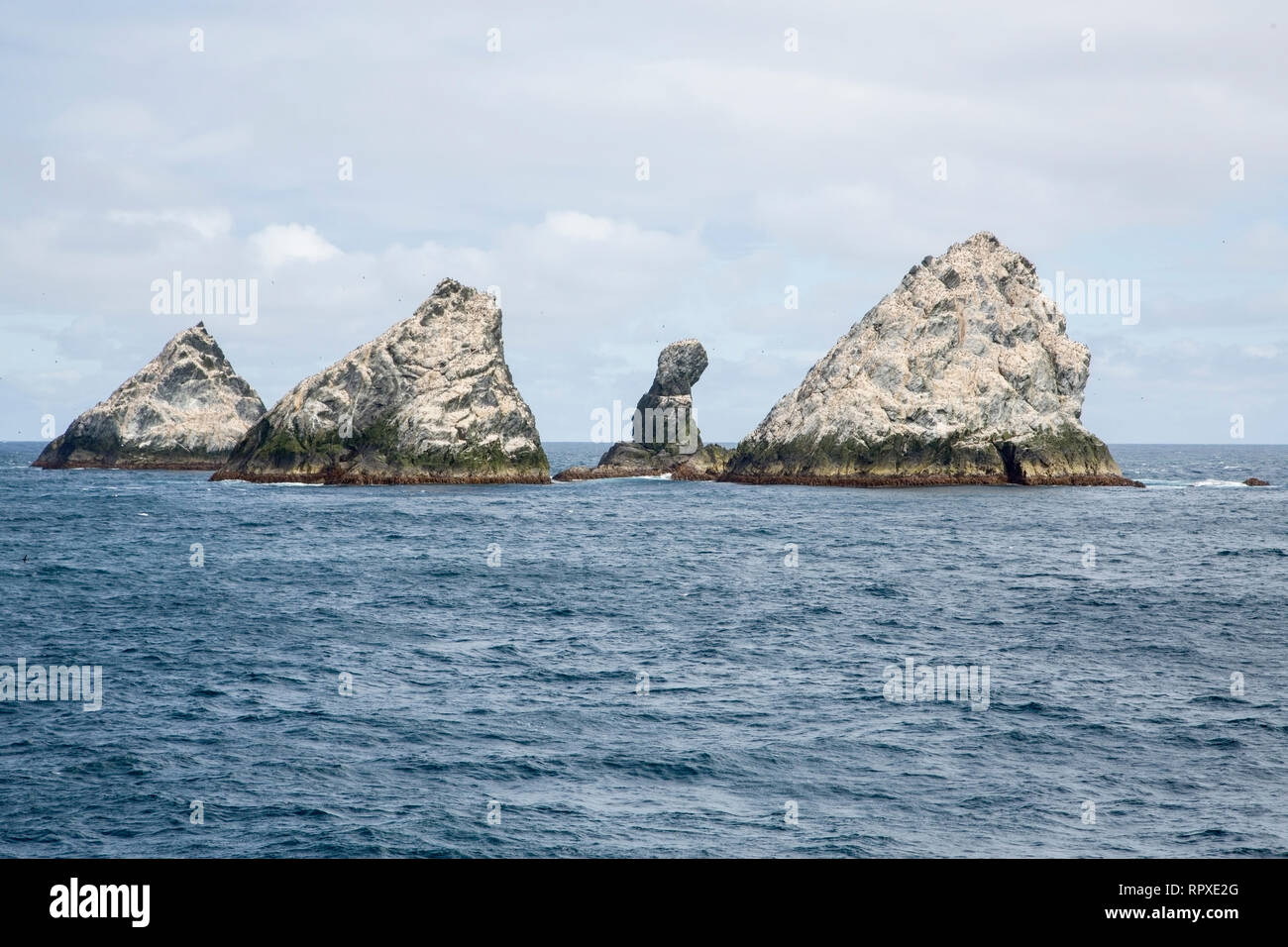 South georgia shag shag rocks hi-res stock photography and images - Alamy