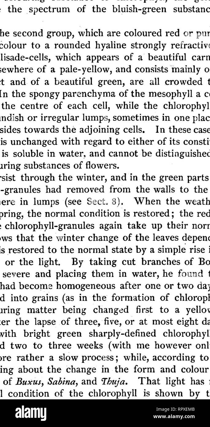Text Book Of Botany Morphological And Physiological Botany 736 General Conditions Of Plant Life All These Requirements Are Fulfilled By The Very Cheap Heating Apparatus For The Micro Scope Represented In Fig 474