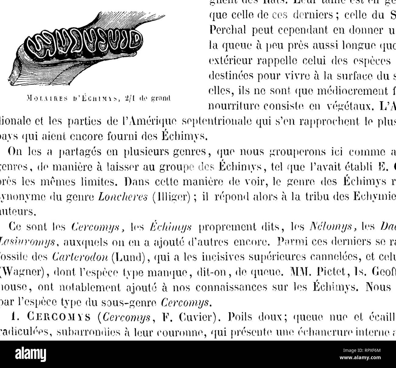 Velešín gay seznamka Velešín gay seznamka