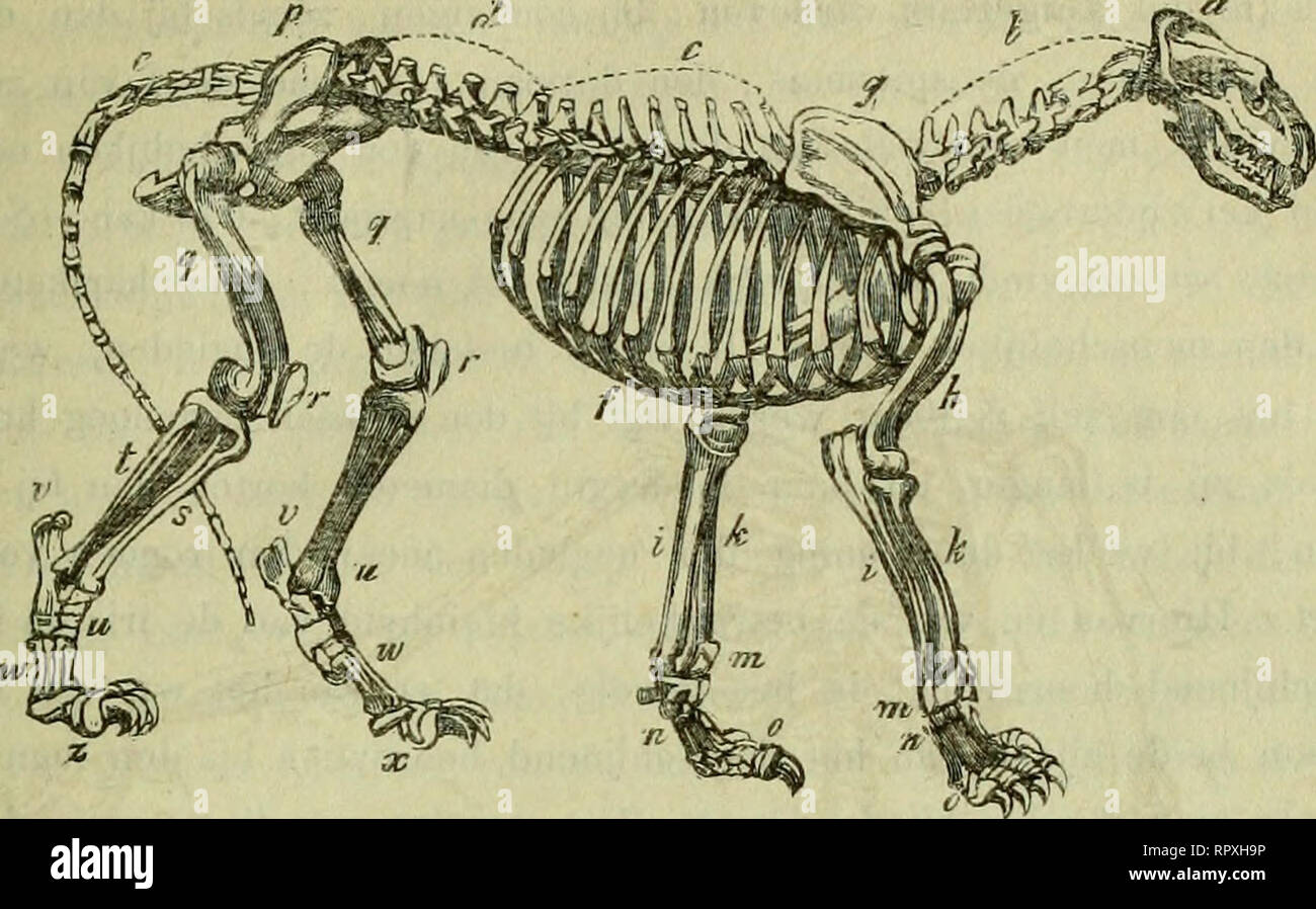 A R G Owen High Resolution Stock Photography And Images Alamy