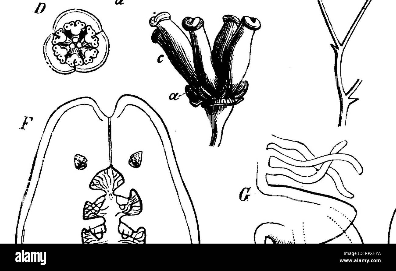 Multi axial Black and White Stock Photos & Images Alamy