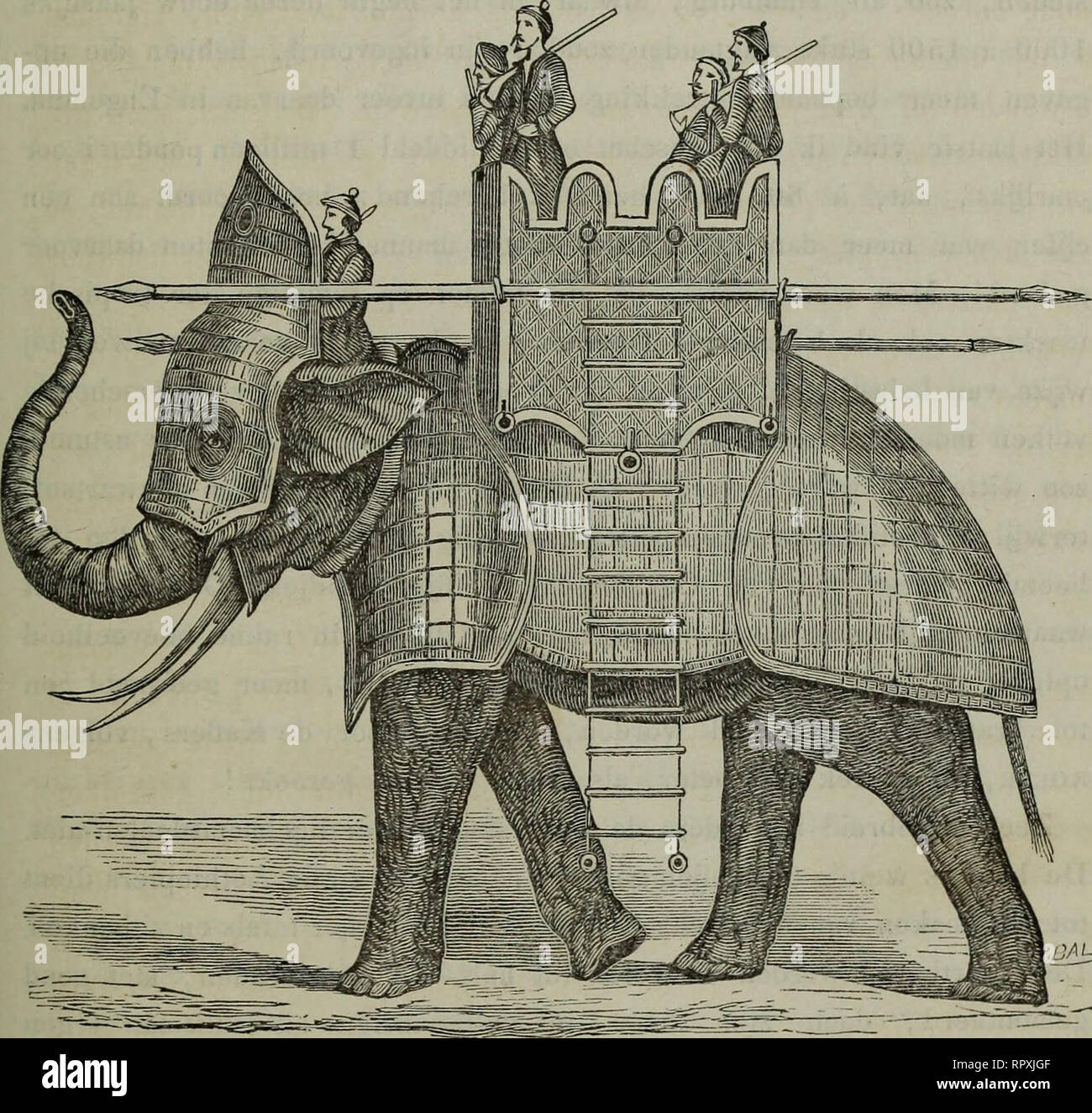 . Album der Natuur. STUDIËN OVER DEN OLIFANT. 367 nlijke weg ontmoetten, daar ze niet wel voortkonden, met zijn snuit «de stukken voortstiet.&quot; Inzonderheid tot zoodanige doeleinden wer- den nog onlangs, volgens eene mededeeling van diard, verscheidene olifanten uit Ceylon naar Bengalen overgebragt.. UAL.. Hedendaagsclie ooiiogsolifant, {Birmannie.) Van hoe veelzijdig gebruik ook bij het leven, betrekkelijk nog meer wordt de olifant gezocht na zijnen dood. In de eerste en voornaamste plaats denkt een ieder hier terstond aan het elpenbeen of ivoor, door zijne slagtanden opgeleverd. Tallooze Stock Photo