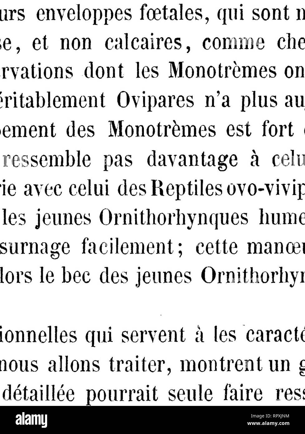 Pinde's Clips - Twitch, image size:977x1390