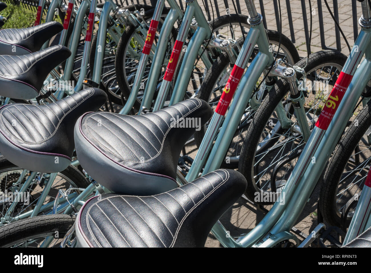 Bicycle seats. Bicycles stand in a row. background Stock Photo Alamy
