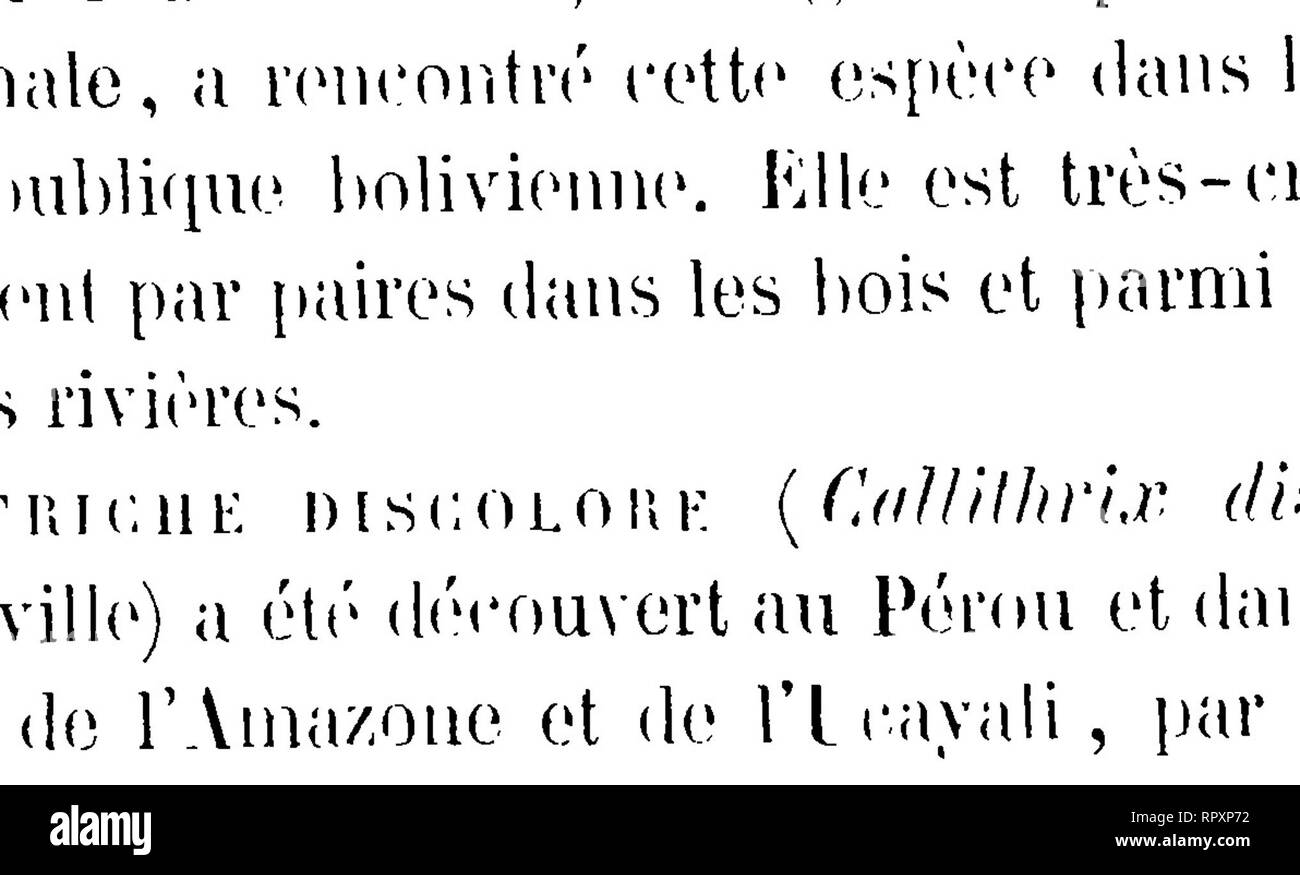 compensé noir homme