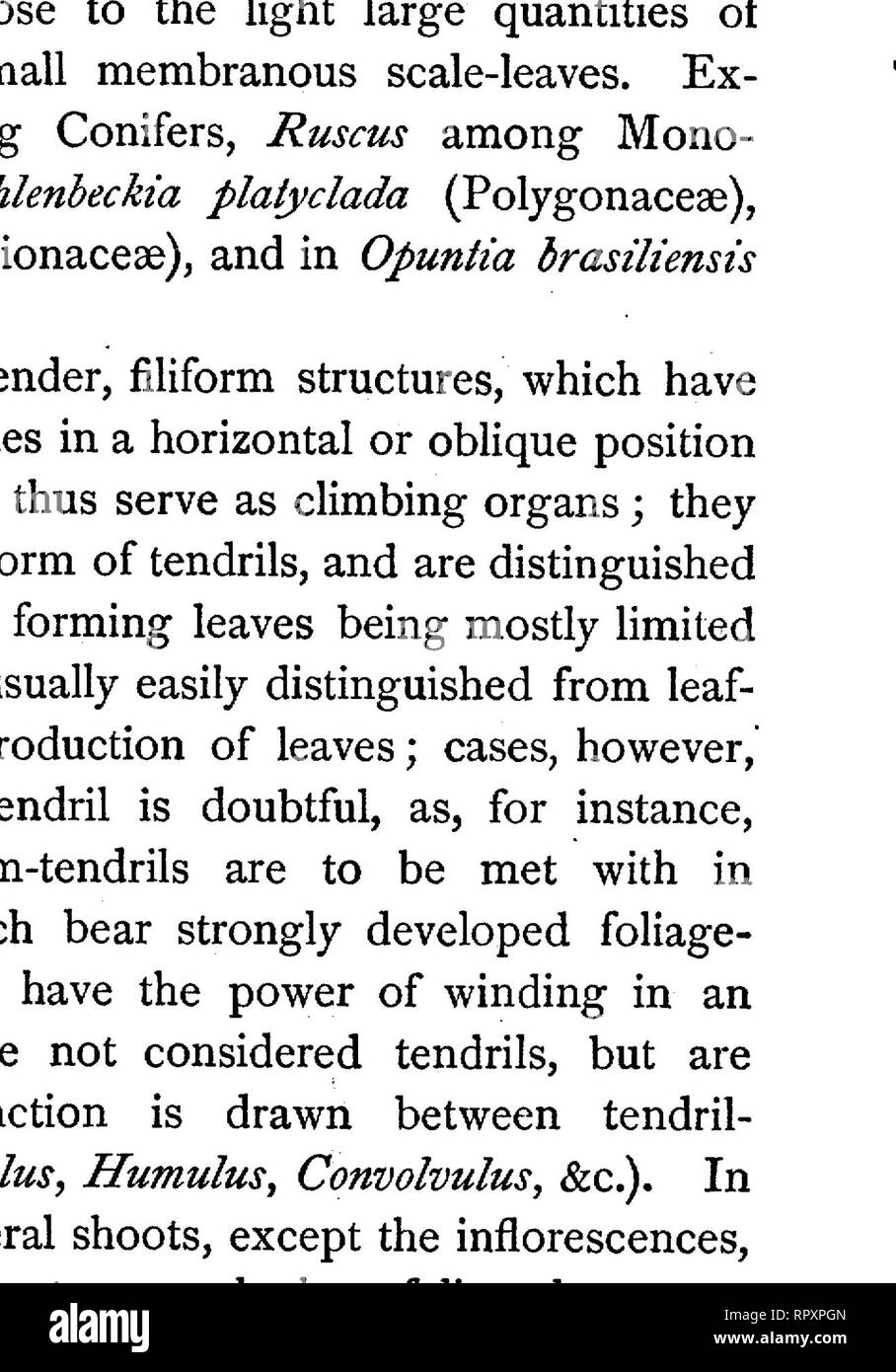 Text-book of botany, morphological and physiological. Botany