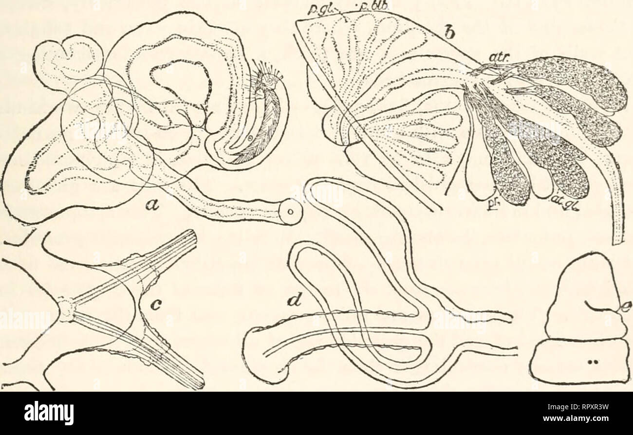 History AlaskaNatural History Alaska; AlaskaNatural Expeditions Scientific AL3qRj45