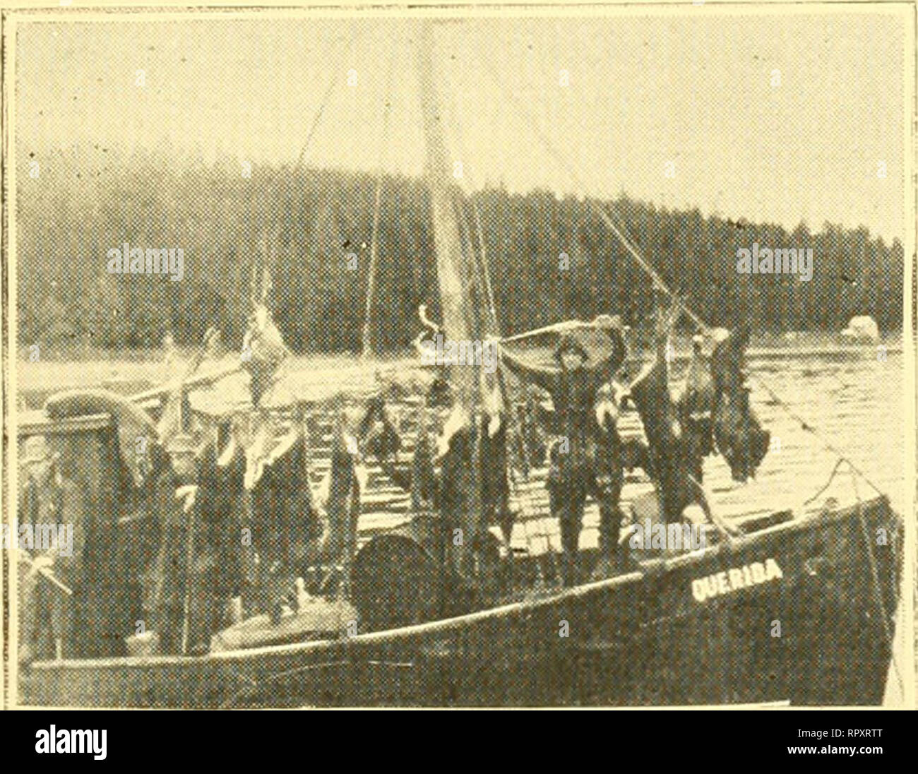 . The Alaska salmon and their practical propagation. Salmon fisheries. Page Nine before the hatching stage of the eggs would | be reached. Observations on July 6. 1920, from this plant of eggs were made. There was located, and seen throughout the lake and its tundra and tributary inlet streams, u schools of thousands, young salmon ofi an average length of three and one half| inches, in vigorous and healthy condition, and not like the hand reared, domesticated fish, robbed of the instinct of self preserva- tion. One can realize that the cost of maintaining and feeding these fish up to this siz Stock Photo